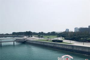 阿聯(lián)酋對中國公民免簽新規(guī)發(fā)布：180天內限停90天